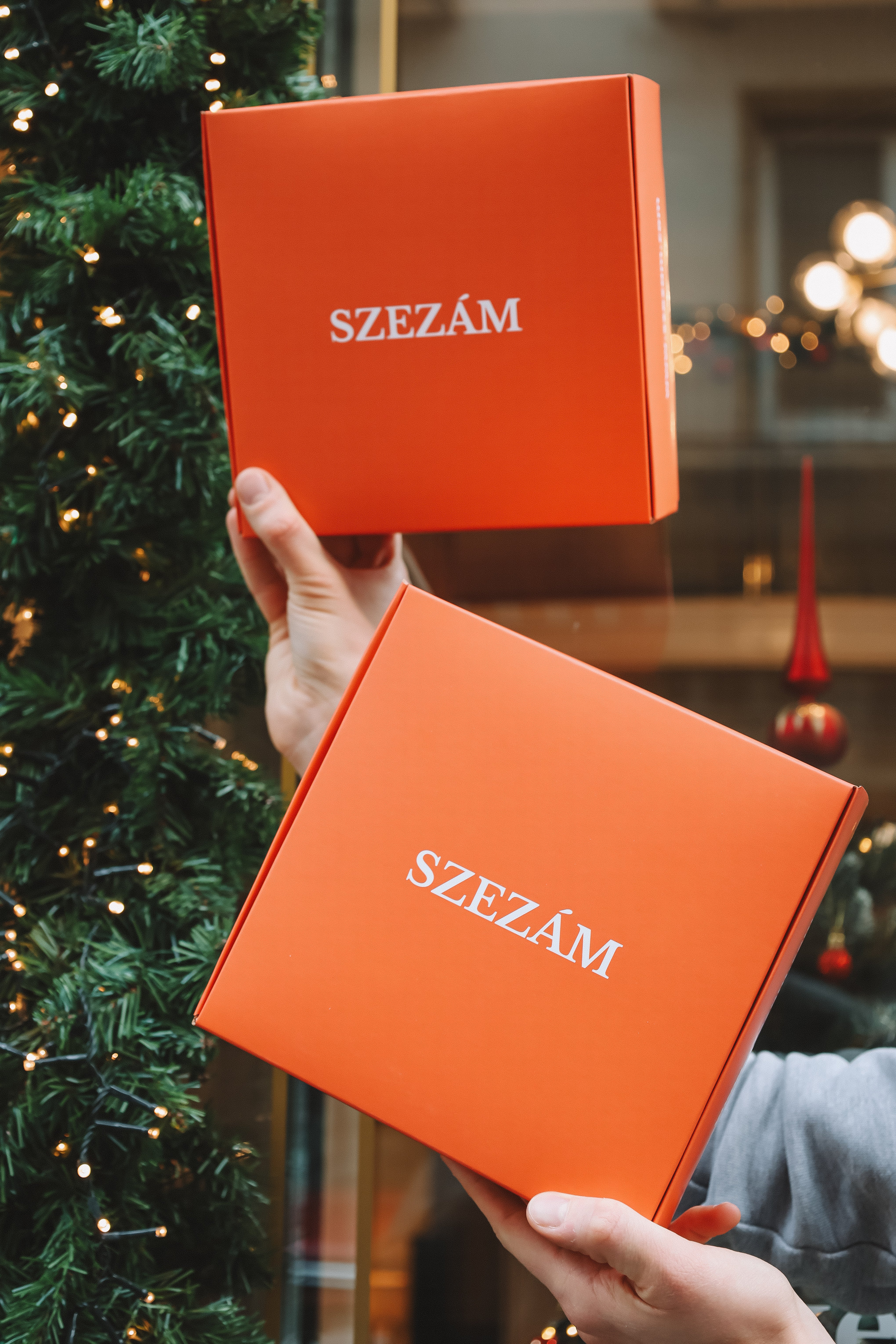 Linzer Box – Szezám